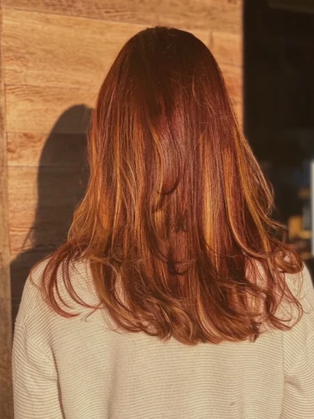The back of a woman's head with auburn/copper hair cut with wispy laters. 
